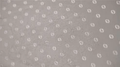 Outwell Universal Extension Size 3 -Famous Camping Store 110997 universal extension size 3 feature photo 8